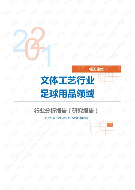 輕工業(yè)類文體工藝行業(yè)足球用品領(lǐng)域分析報告 研究報告 .pdf資源 csdn文庫